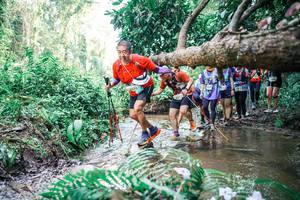 BIB: 
                            <button type="button" onclick="openModal(25476208)" class="btn btn-primary btn-sm float-right btn-popup" data-toggle="modal" data-target=".modal-high-quality">
                        <i class="fas fa-shopping-cart"></i> Add to Cart
                    </button>
                                            <button type="button" onclick="isThisMe(25476208, true)" class="btn btn-success btn-sm float-right btn-popup btn-isme hidden" data-toggle="tooltip" data-placement="bottom" title="นี่คือรูปของคุณใช่ไหม คลิกที่นี่เพื่อเอาเข้าอัลบั้ม">
                        <i class="fas fa-plus"></i> Add to album
                    </button>
                    <button type="button" onclick="isThisMe(25476208, false)" class="btn btn-warning btn-sm float-right btn-popup btn-isnotme hidden">
                        <i class="fas fa-ban"></i> Remove from album
                    </button>